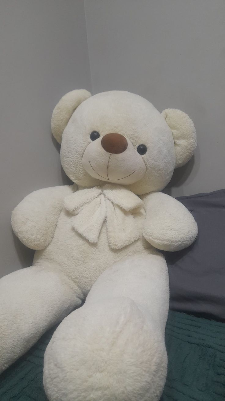 1.6 fit teddy  Delicate Divine PERFECT GIFT FOR ALL OCCASIONS – Whether it’s a birthday, Valentine’s Day