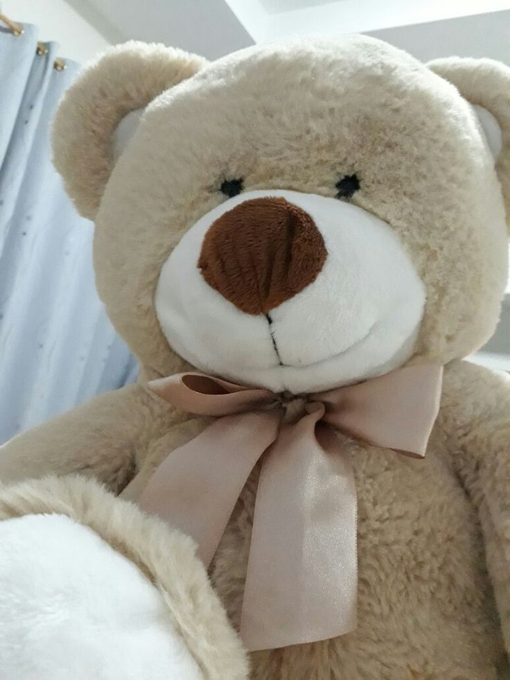 1.6 fit teddy  Delicate Divine PERFECT GIFT FOR ALL OCCASIONS – Whether it’s a birthday, Valentine’s Day